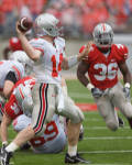 QB Joe Bauserman impressed during the Spring Game