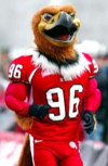 Swoop, the Utah mascot