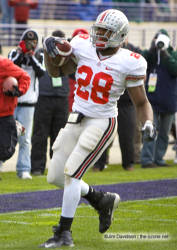 Beanie wells scores on a 55 yard run in the 2nd quarter against northwester novembeR 8, 2008 (Photo: Jim Davidson, The Ozone)