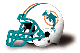 Miami Dolphins