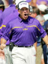 Les Miles